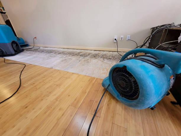 Professional Flood Damage Cleanup technician working in White Plains, NC